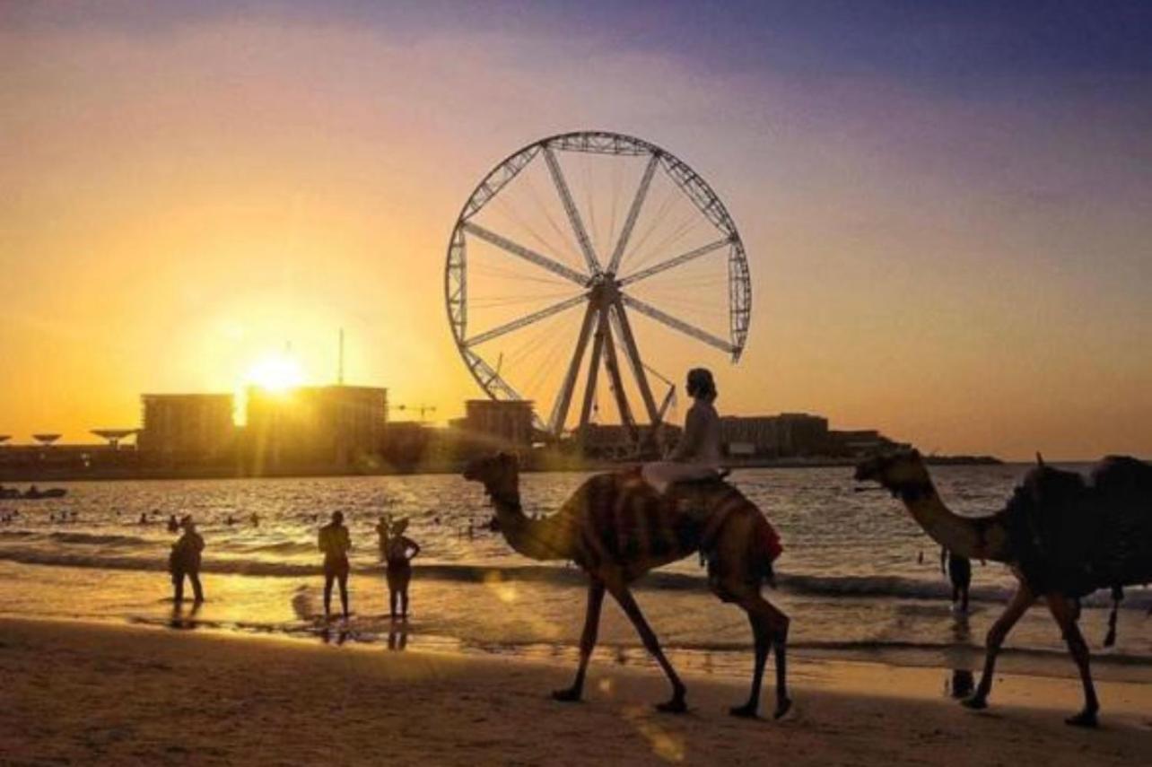 Seaview Beach Hostel Jbr - Walk To Beach - Gym - Pool - Metro Station Dubai Exterior foto