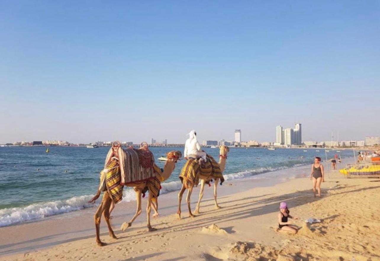 Seaview Beach Hostel Jbr - Walk To Beach - Gym - Pool - Metro Station Dubai Exterior foto